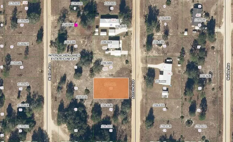 513 Annette Avenue, Interlachen, FL 32148 - Image #1