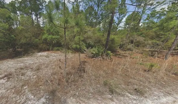 158 Ferncreek Drive, GEORGETOWN, FL 32139