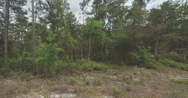 120 New York Avenue, SATSUMA, FL 32189