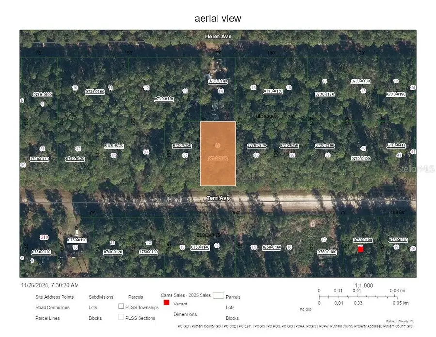 226 Terri Avenue, Georgetown, FL 32139 - Image #2