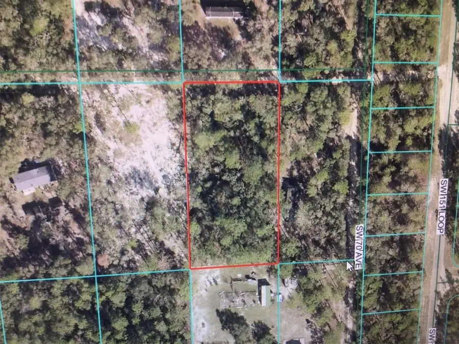 0 SW 151 Place, Dunnellon, FL 34432 - Image #2