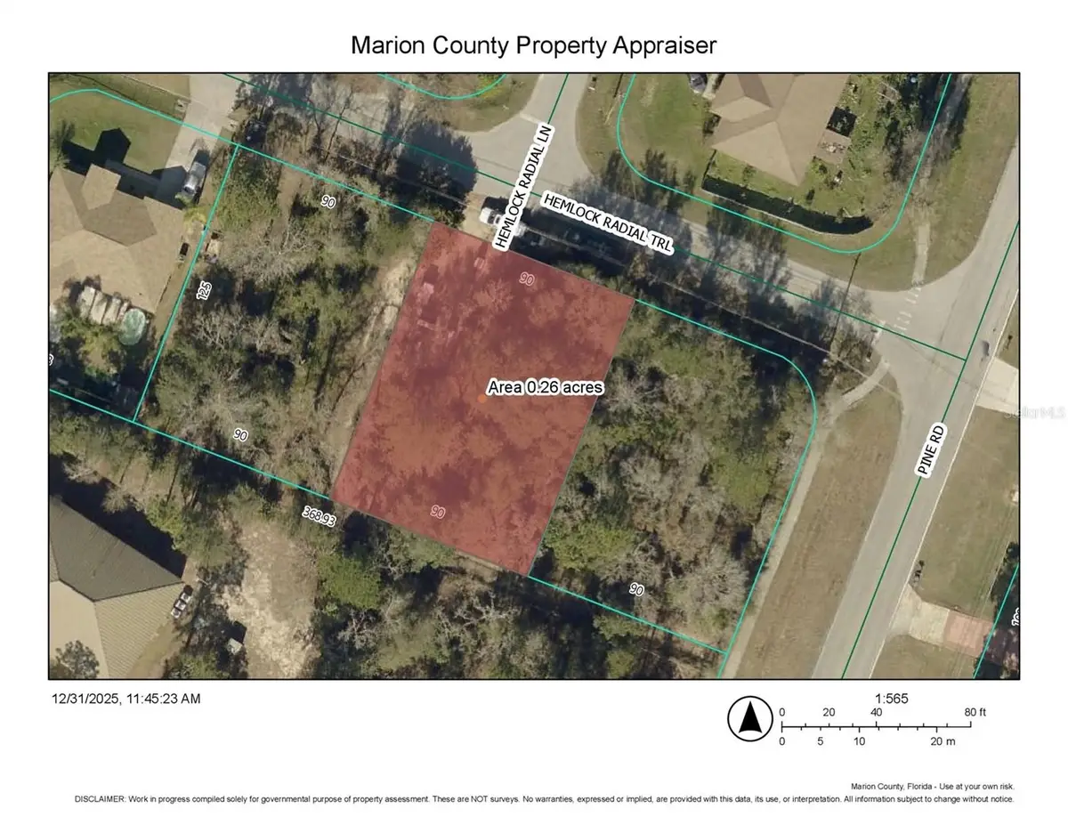 TBD Hemlock Radial Trail, Ocala, FL 34472 - Image #1