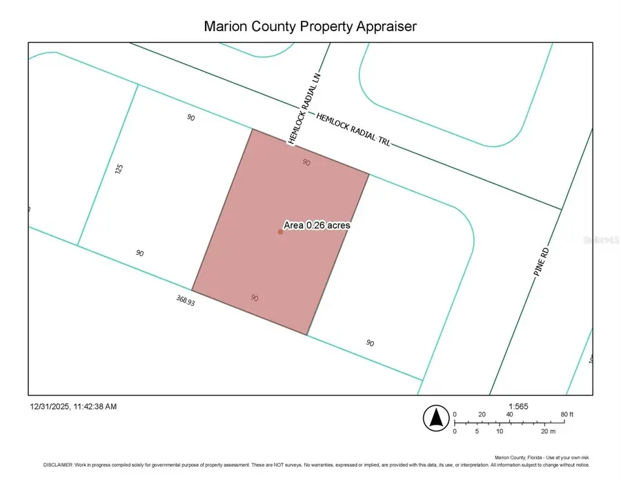 TBD Hemlock Radial Trail, Ocala, FL 34472 - Image #2