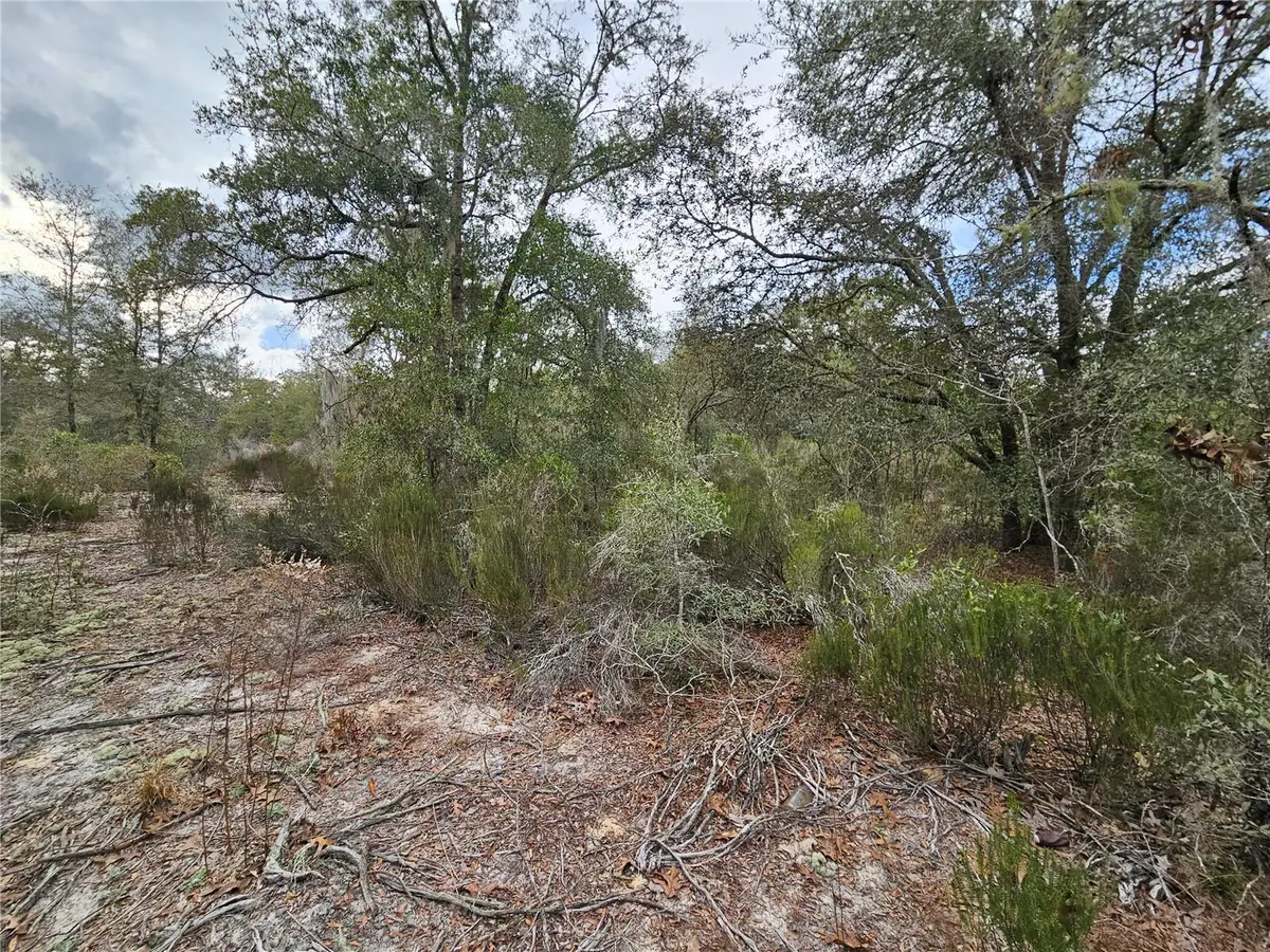 10350 NE 97th Place, Archer, FL 32618 - Image #1