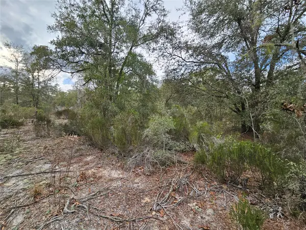 10350 NE 97th Place, ARCHER, FL 32618