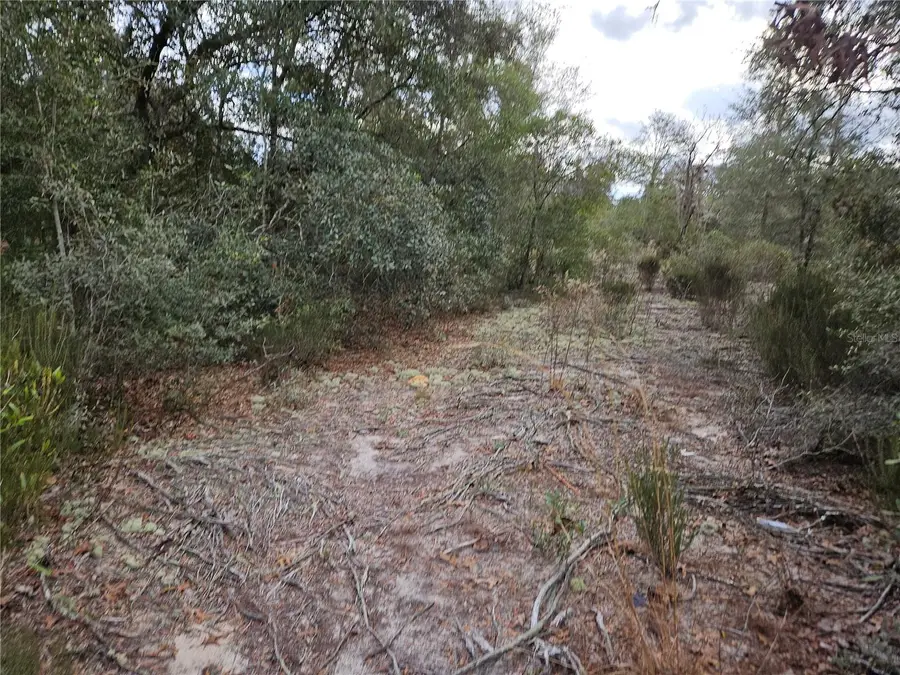 10350 NE 97th Place, Archer, FL 32618 - Image #3