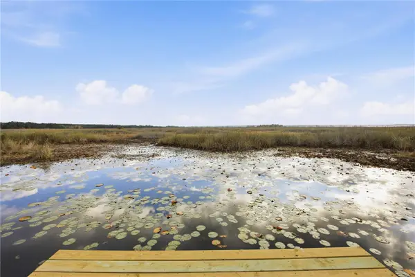 23422 NE 154th Place Road, SALT SPRINGS, FL 32134