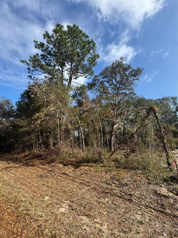 Locust Radial, OCALA, FL 34472