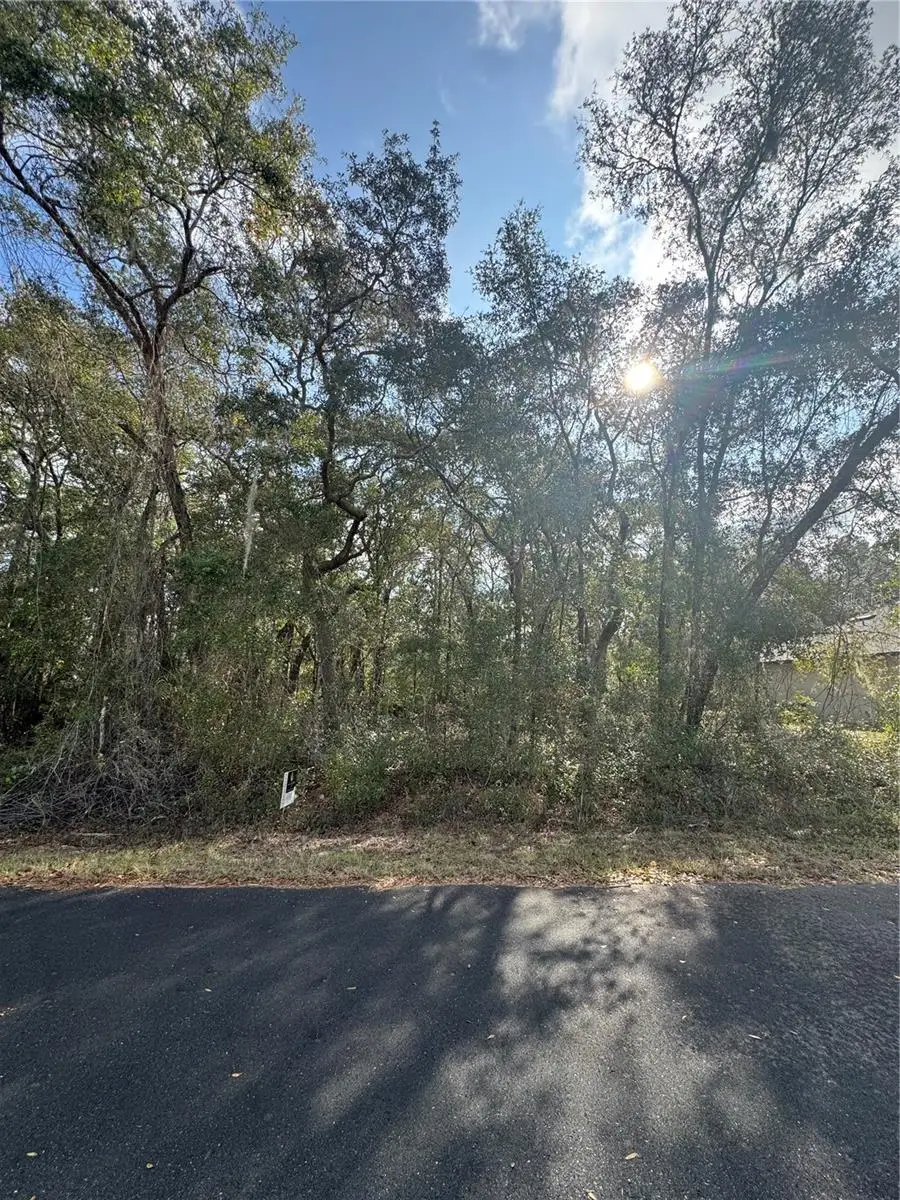 Locust Loop Terrace, Ocala, FL 34472 - Image #3