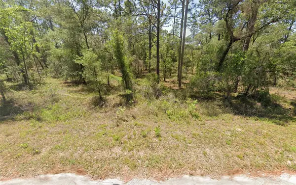 156 NW Redwing Road, DUNNELLON, FL 34431
