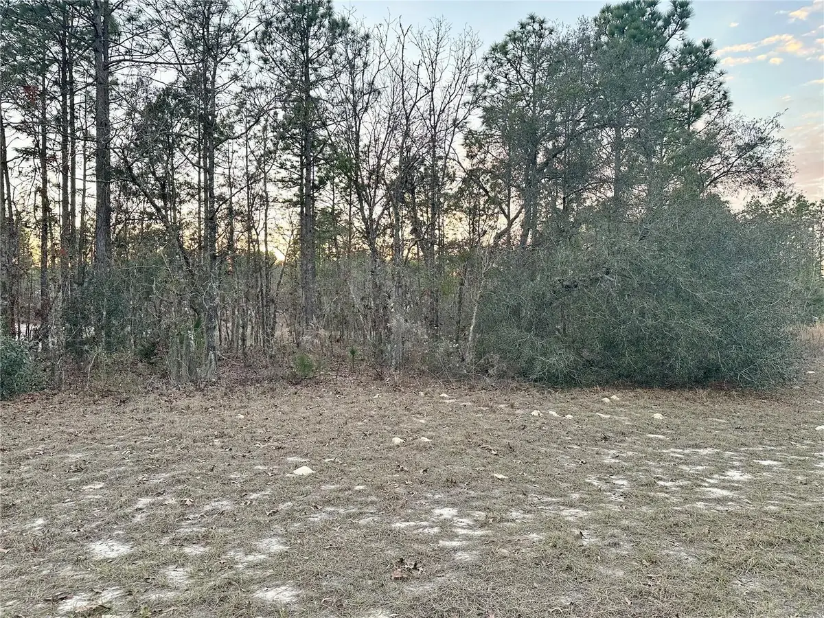 0 Sw 129th Pl, Ocala, FL 34473 - #1
