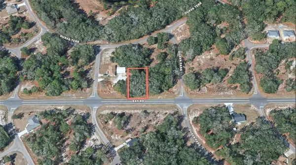 TBD Bay Road, OCKLAWAHA, FL 32179