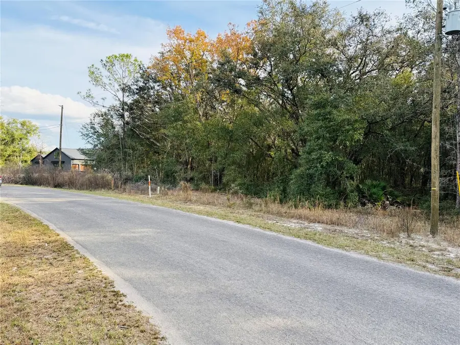 Lot#17 Guava Pass, Ocklawaha, FL 32179 - Image #3