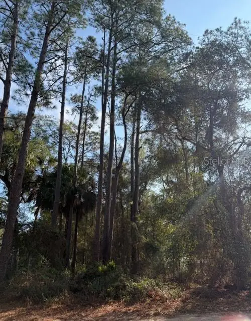 TBD NE 236 Terrace, Lake Kerr, FL 32134 - Image #2