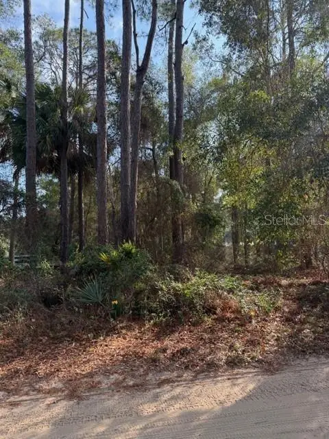 TBD NE 236 Terrace, Lake Kerr, FL 32134 - Image #3