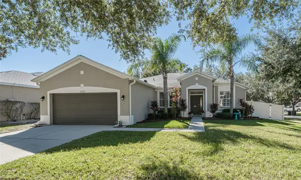 11329 Bridge Pine Drive, RIVERVIEW, FL 33569