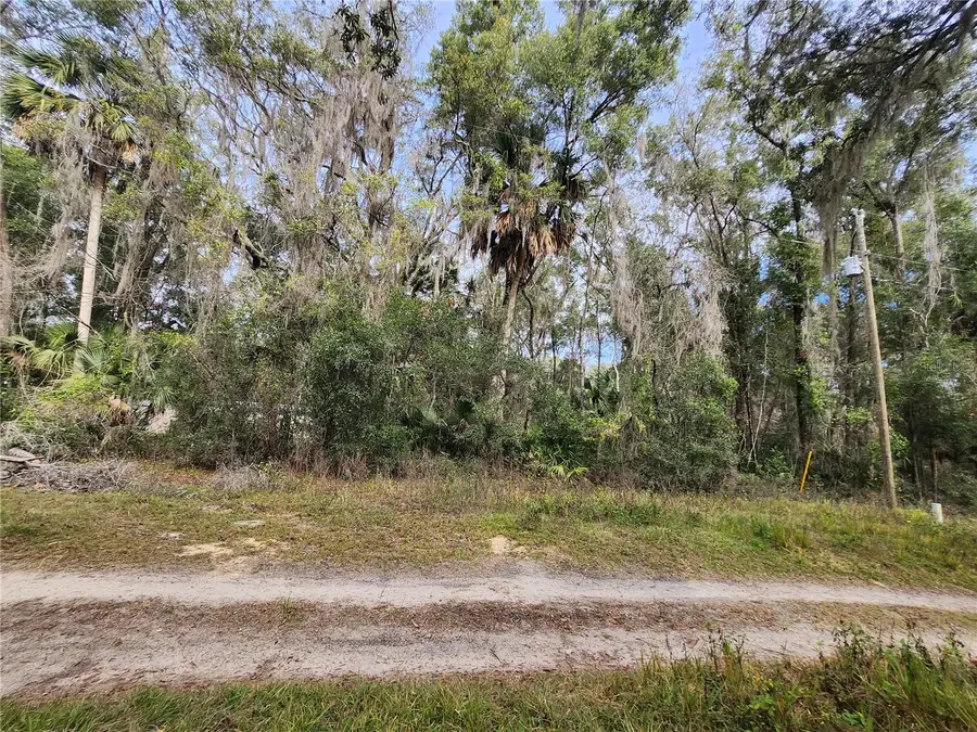 TBD NE 164th Place, Citra, FL 32113 - Image #3