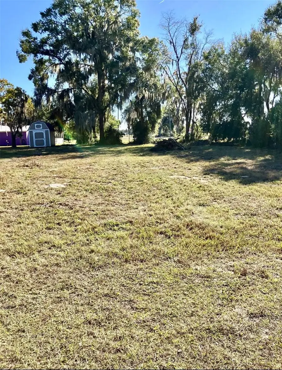 TBD Cr 463, Lake Panasoffkee, FL 33538 - Image #3