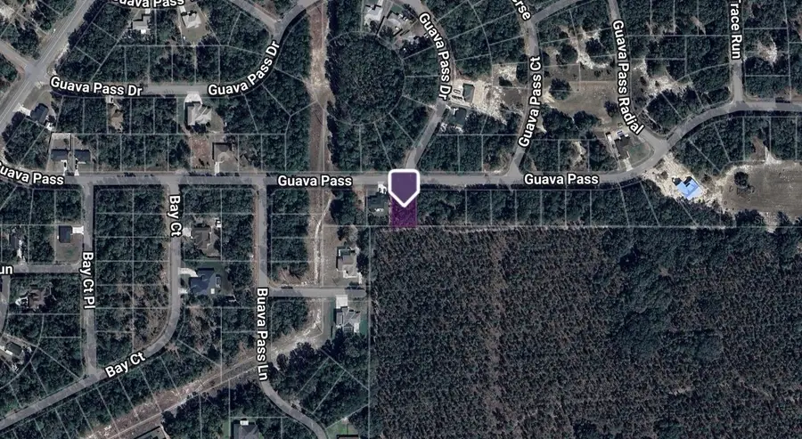 TBD Guava Pass, Ocklawaha, FL 32179 - Image #2