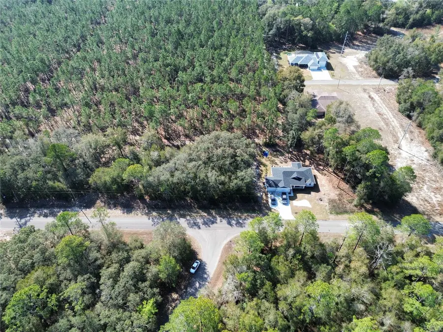 TBD Guava Pass, Ocklawaha, FL 32179 - #3