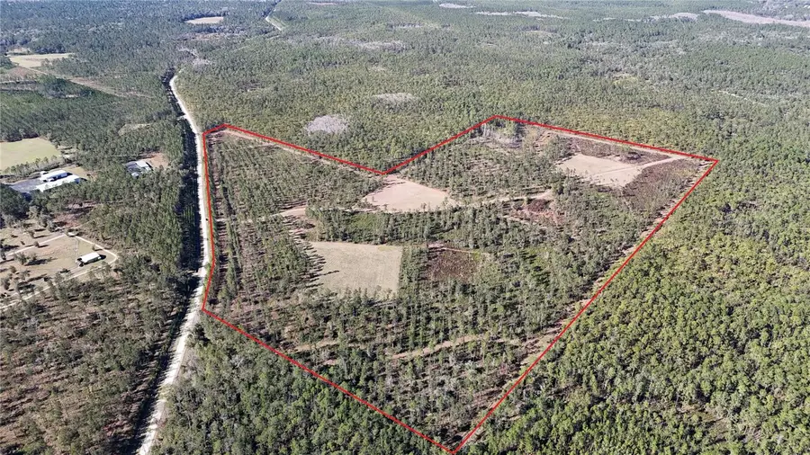 98ac SE 137th Avenue Road, Ocklawaha, FL 32179 - #3