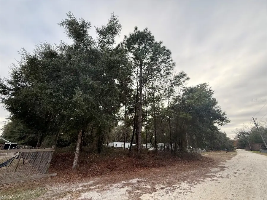 Se 147 Place, Summerfield, FL 34491 - Image #3