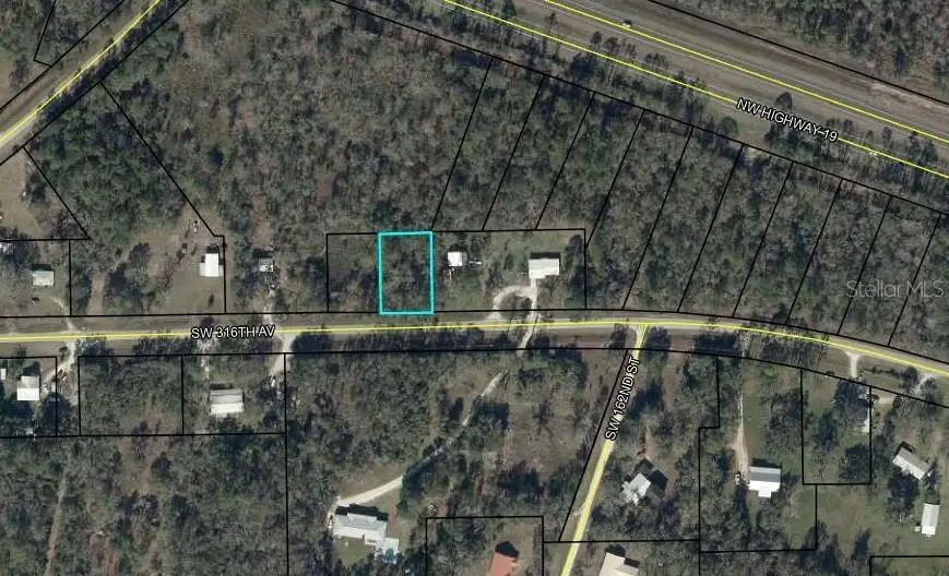 00 SW 316 Avenue, Cross City, FL 32628 - Image #3