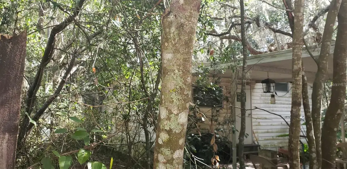 24971 NE 135th Street, Salt Springs, FL 32134 - Image #1