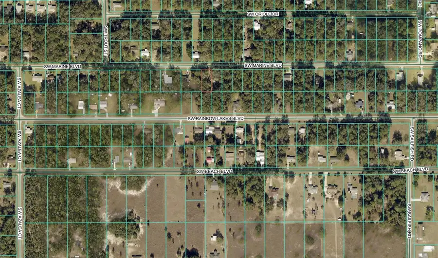 20832 SW Marine Boulevard, Dunnellon, FL 34431 - Image #3