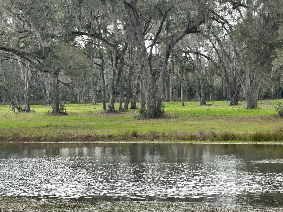 TBD Nw 160th Street, Reddick, FL 32686 - Image #1