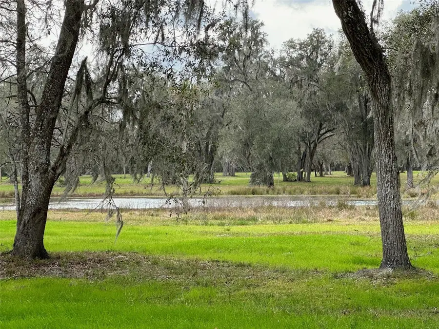 TBD Nw 160th Street, Reddick, FL 32686 - Image #3