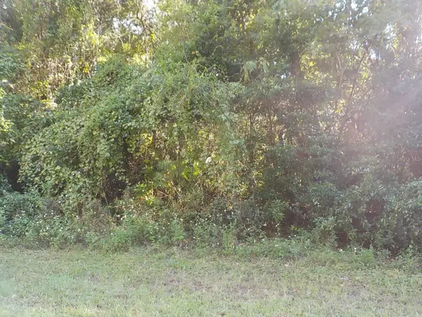 11641 N Kenlake Circle, DUNNELLON, FL 34434