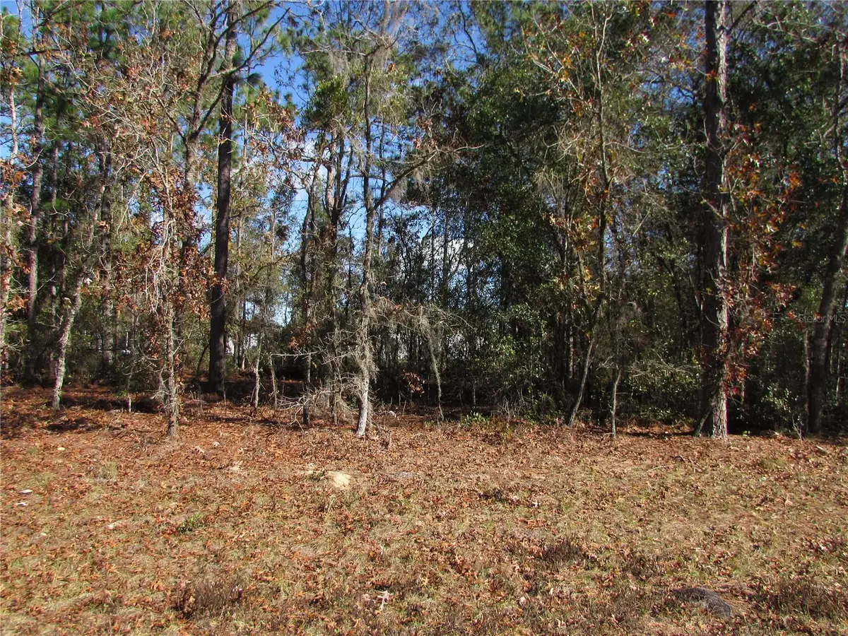 Lot 18 SW 156 Street, Ocala, FL 34473 - Image #1