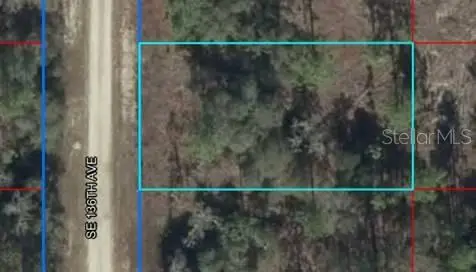 Lot 50 SE 136th Avenue, Dunnellon, FL 34431 - Image #2