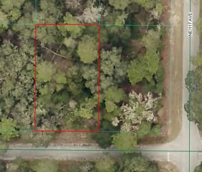 Ne 239th St, Fort McCoy, FL 32134 - Image #1