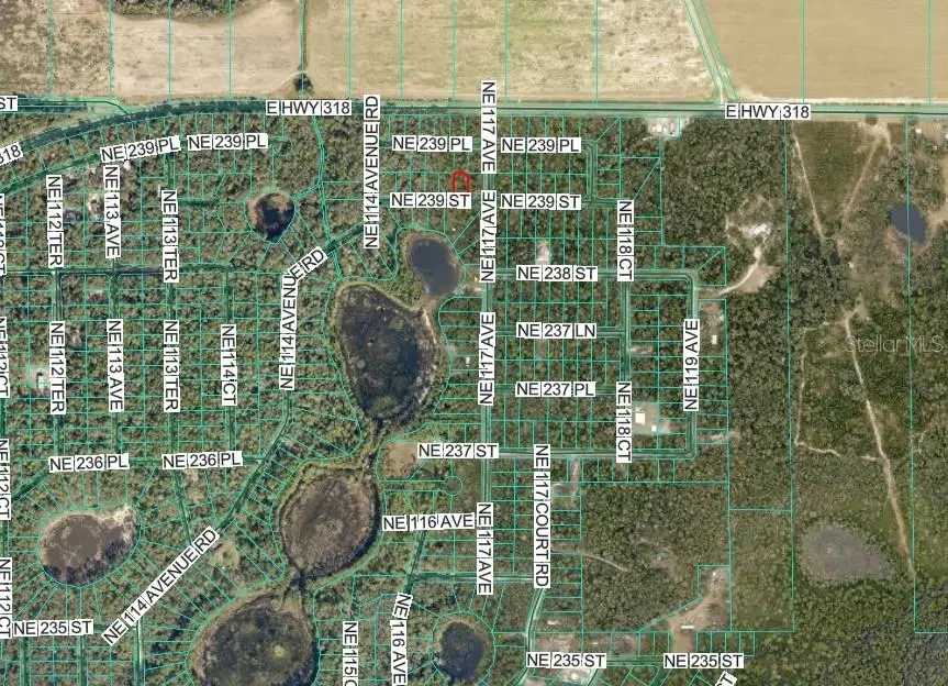 Ne 239th St, Fort McCoy, FL 32134 - Image #3