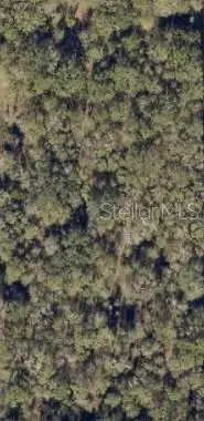 0 SW Blanton Lane, Lake City, FL 32024 - Image #1