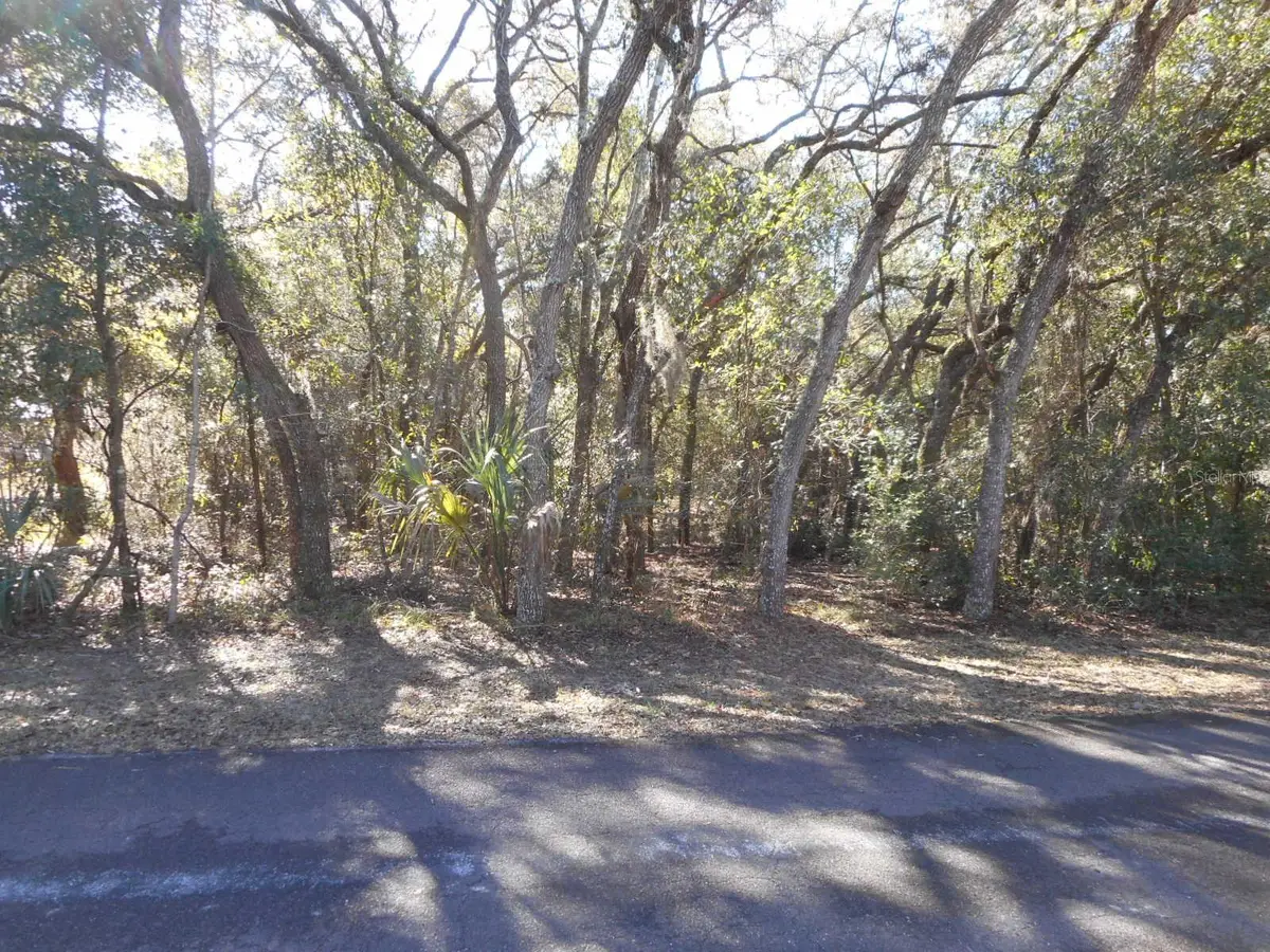 609 N Brighton Road, Lecanto, FL 34461 - Image #1