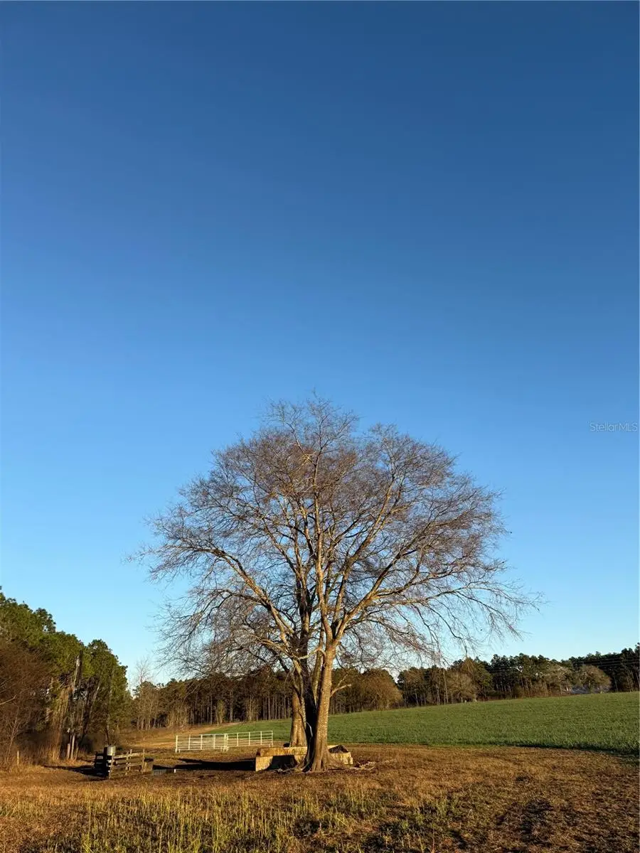 SE St Rd 121, Morriston, FL 32668 - #2