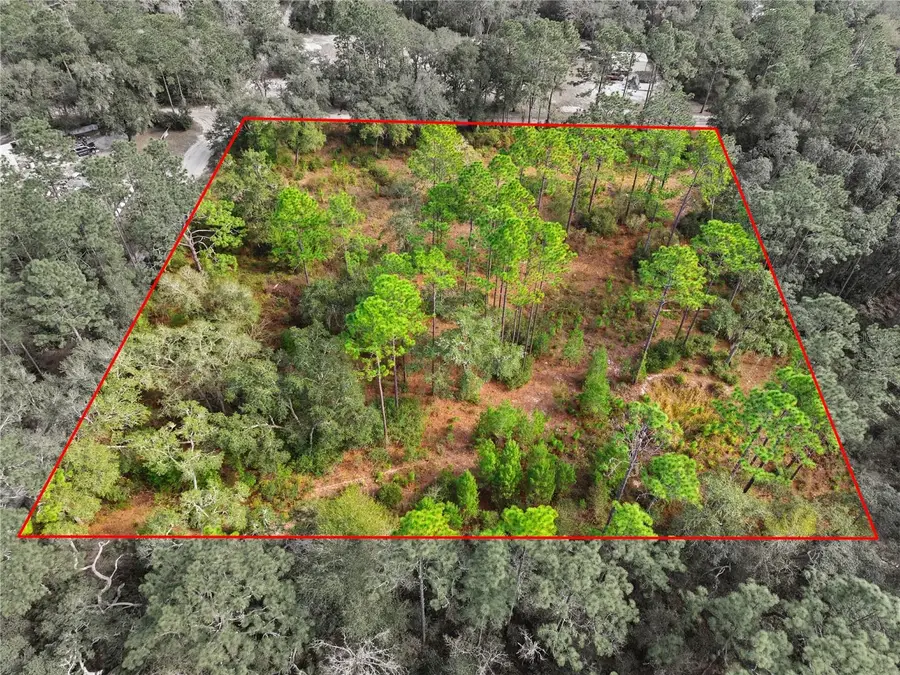 000 SW 151st Street, Dunnellon, FL 34432 - #3