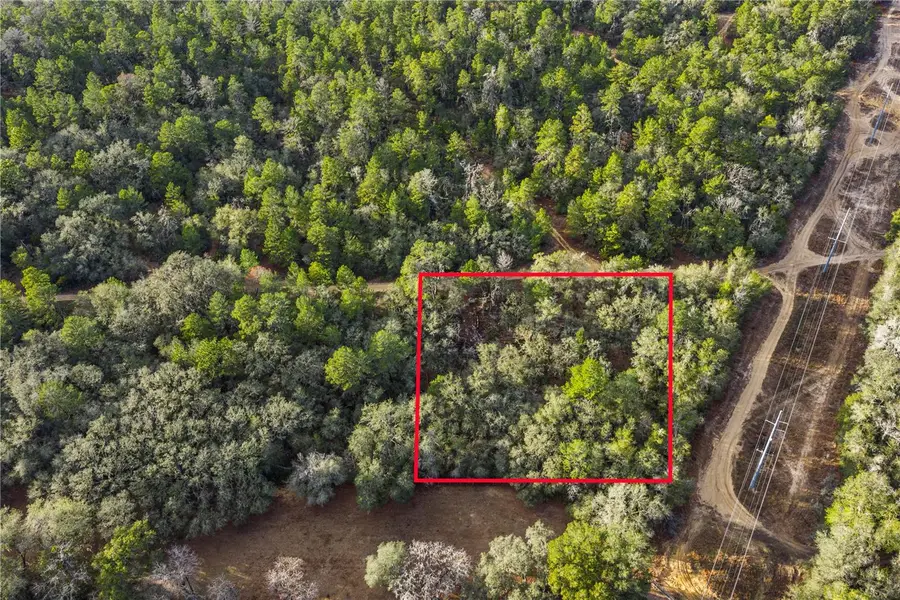 115 S Crestview Avenue, Inverness, FL 34452 - Image #2