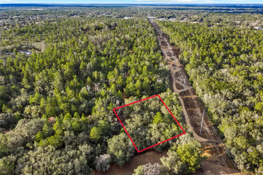 115 S Crestview Avenue, Inverness, FL 34452 - Image #3