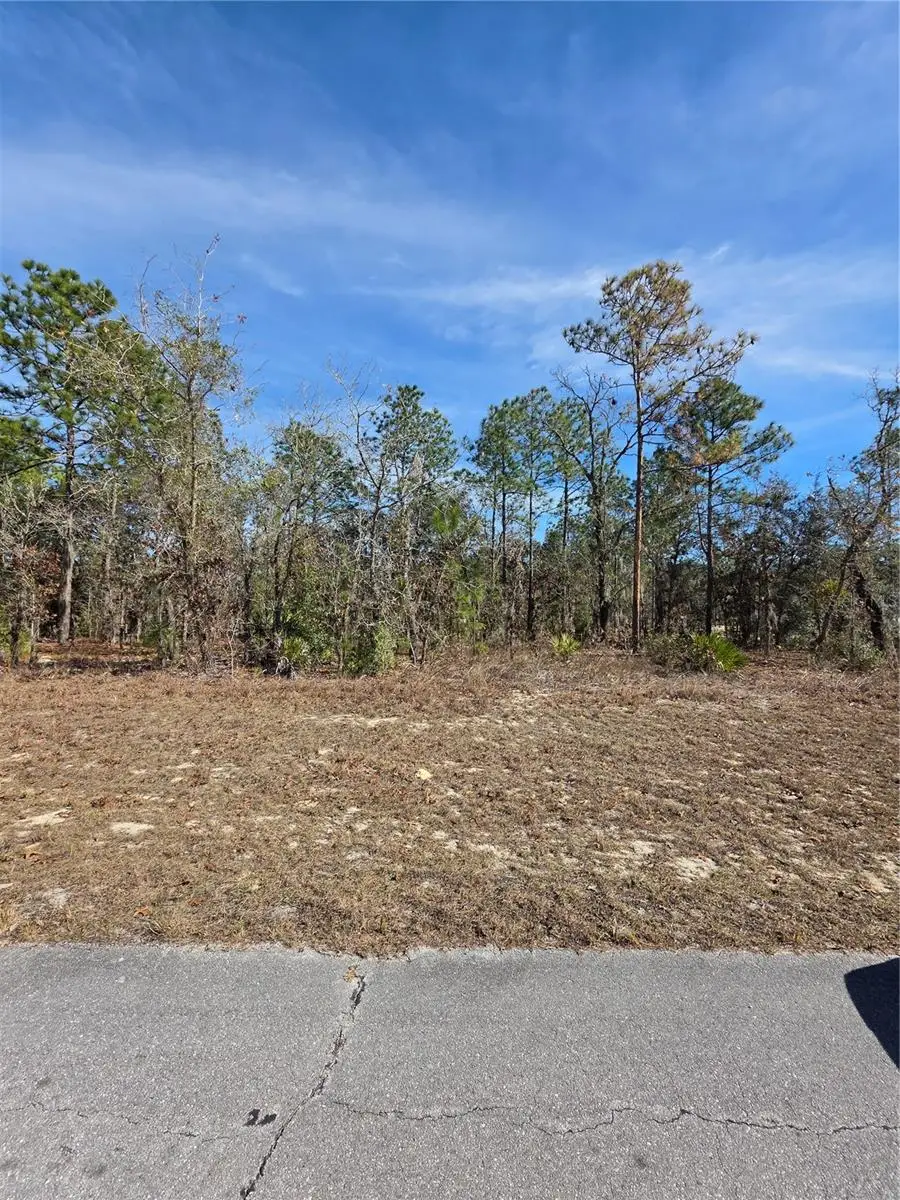 TBD SW 87th Avenue, Ocala, FL 34473 - #1