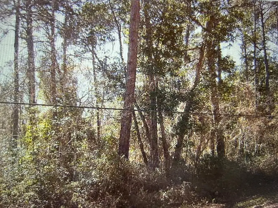 83 Sorrel Street, Middleburg, FL 32068 - Image #2