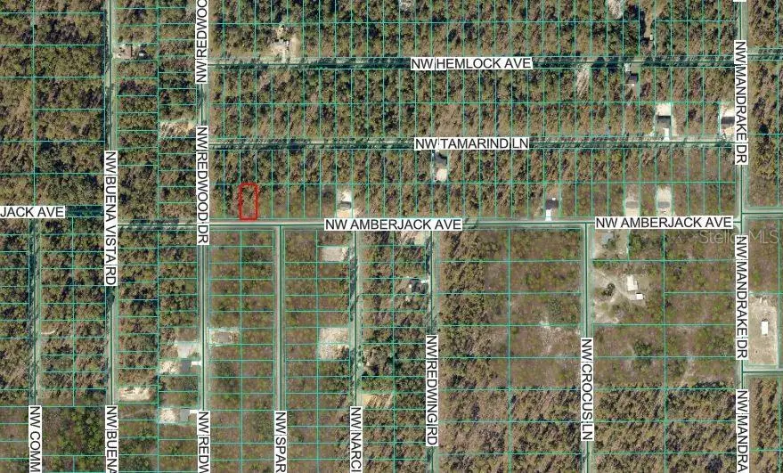 NW Amberjack Avenue, Dunnellon, FL 34431 - #3