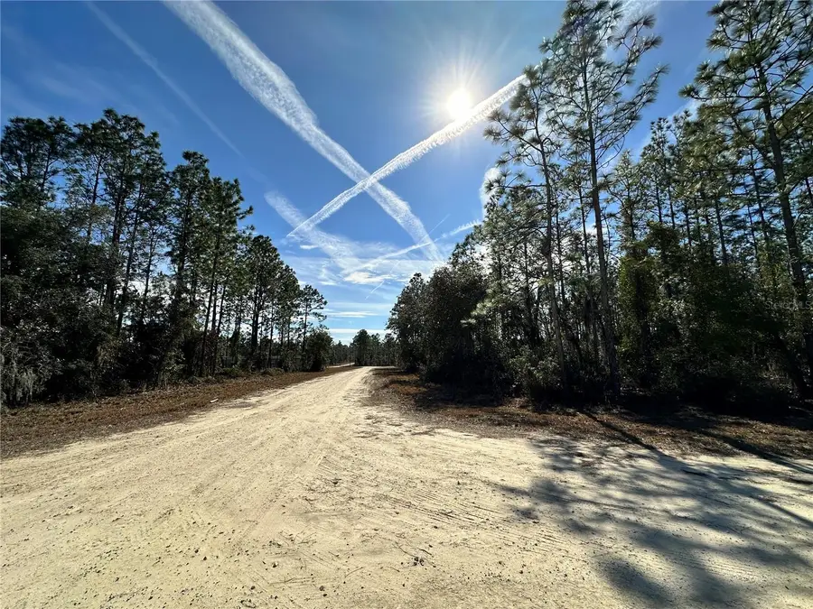 TBD SE 67th Place, Morriston, FL 32668 - #3