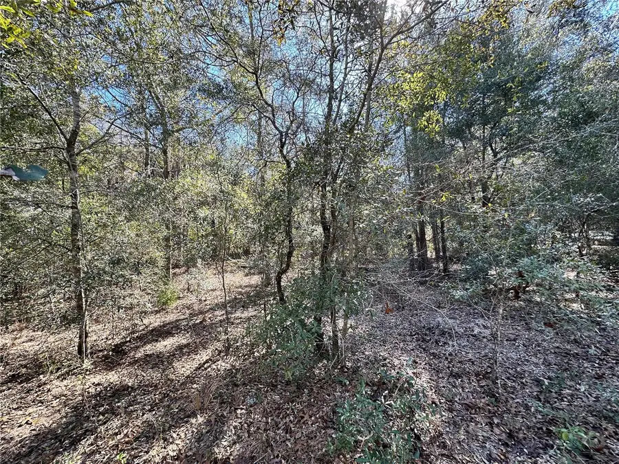 TBD NE Ne 85th Avenue, Bronson, FL 32621 - #3