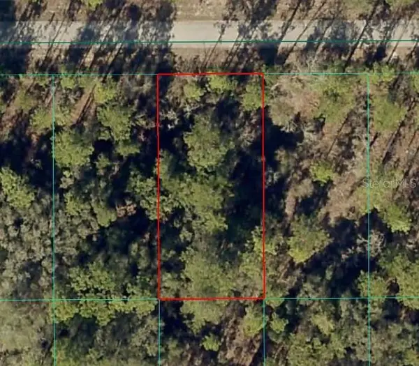 Nw Banyan Ln, DUNNELLON, FL 34431