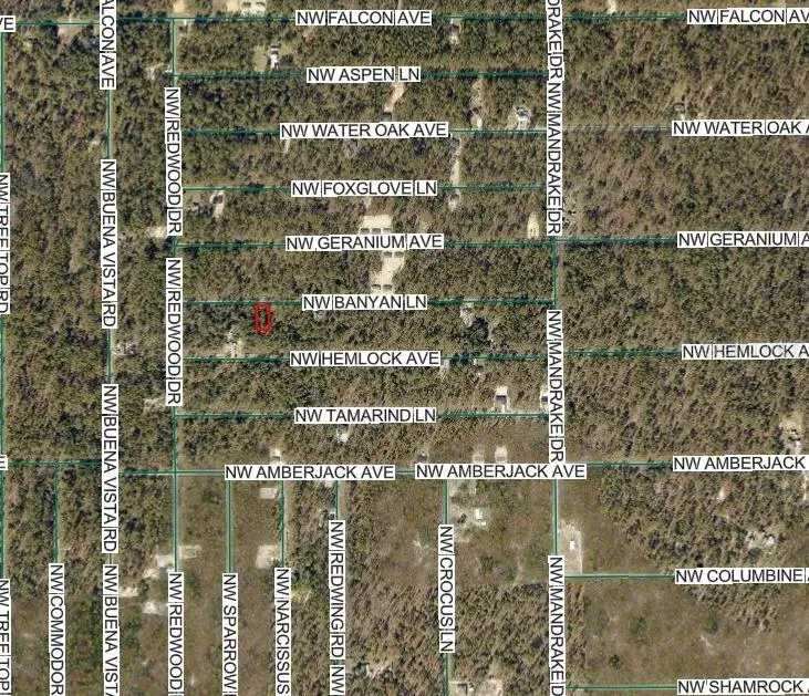 Nw Banyan Ln, Dunnellon, FL 34431 - #3