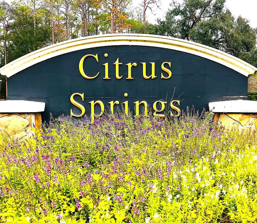 3637 W Wilhelm Street, Citrus Springs, FL 34433 - Image #2